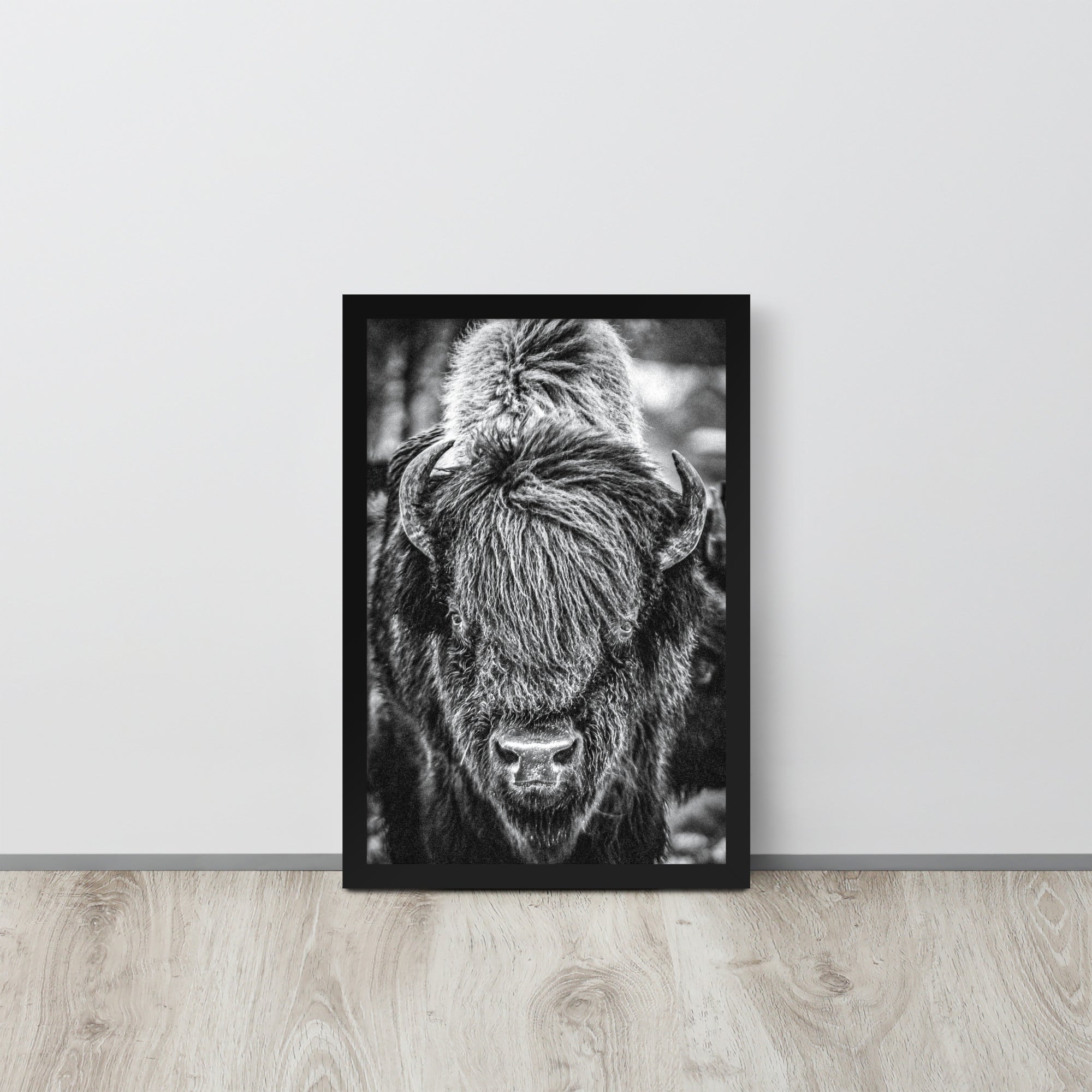 Bullbourne Bison One - Framed Print