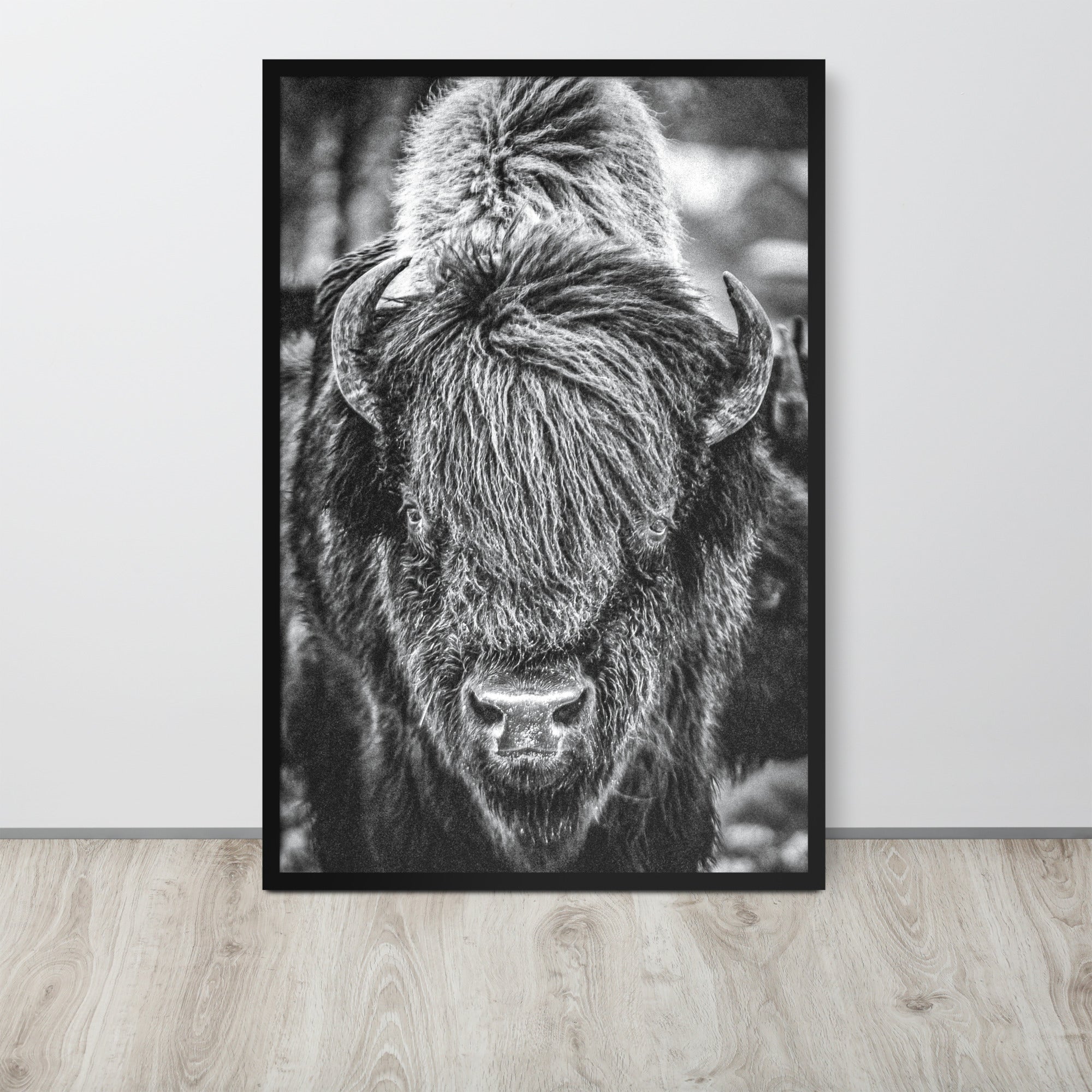 Bullbourne Bison One - Framed Print