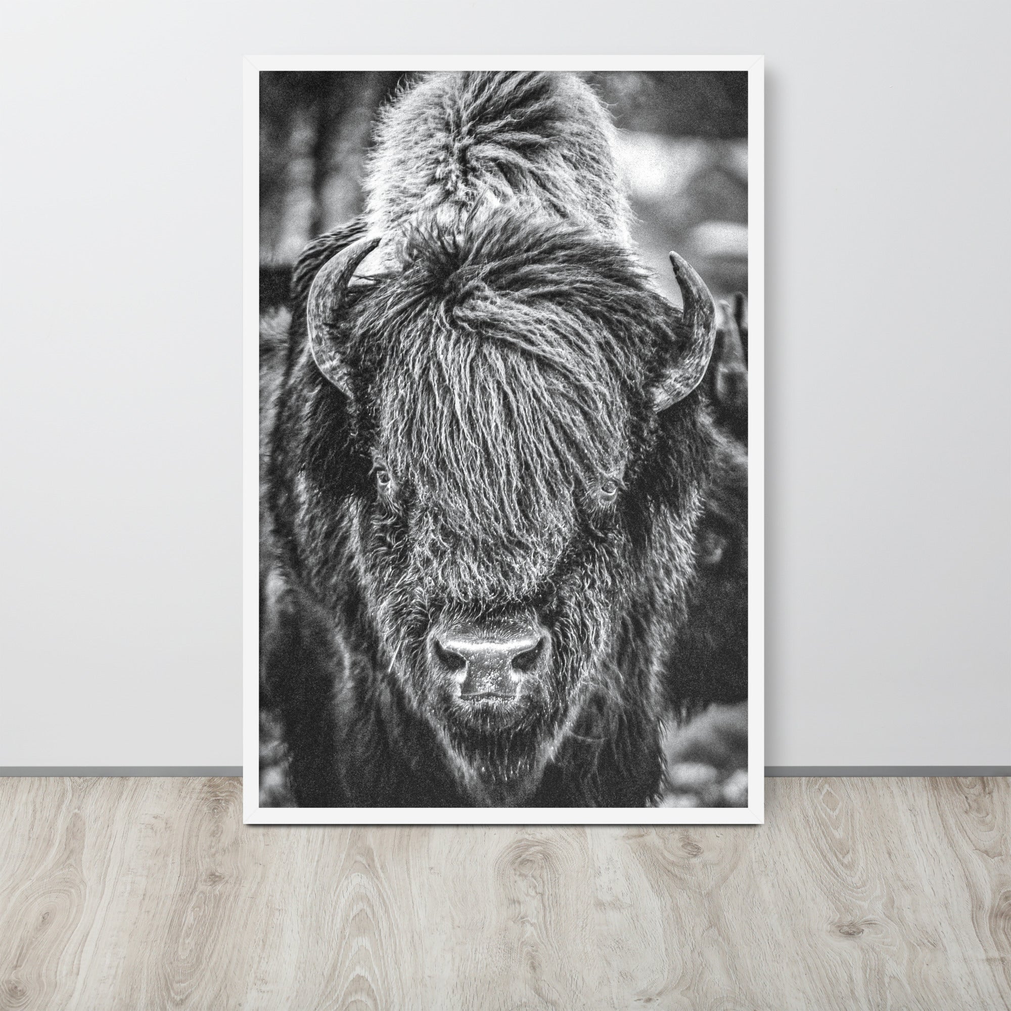 Bullbourne Bison One - Framed Print